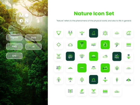 Nature Duotone Icon Set: Graphics and Icons for Editorial Design
