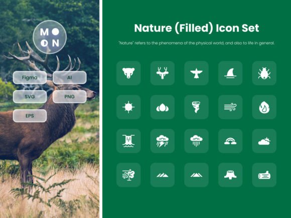 Nature Filled Icon Set Part 1 Graphics and Icons Review